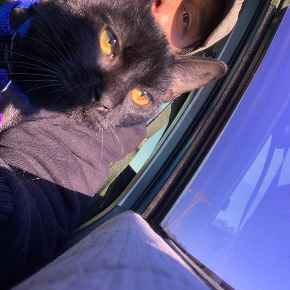 Meet your Posher, Chris